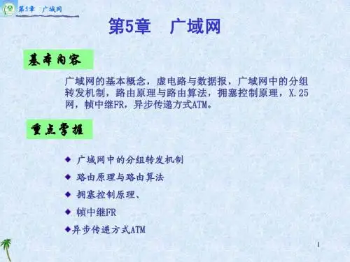 5广域网