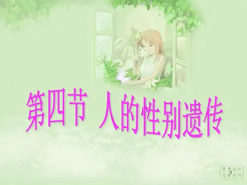 《人的性别遗传》PPT教学课件