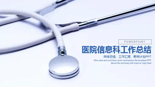 医院信息科工作总结ppt