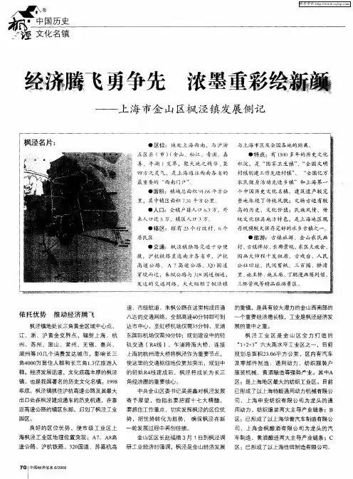 经济腾飞勇争先 浓墨重彩绘新颜——上海市金山区枫泾镇发展侧记