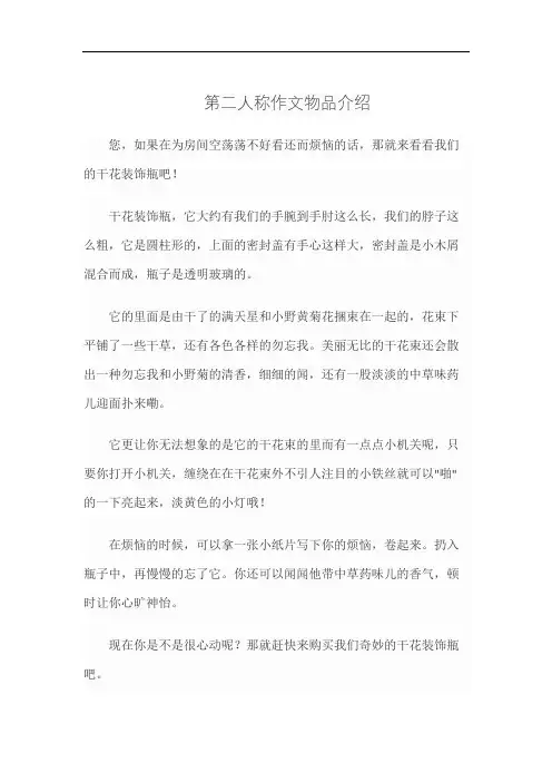 第二人称作文物品介绍