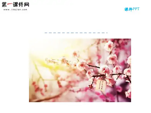 8.6 梅香正浓 北师大版PPT优质课件