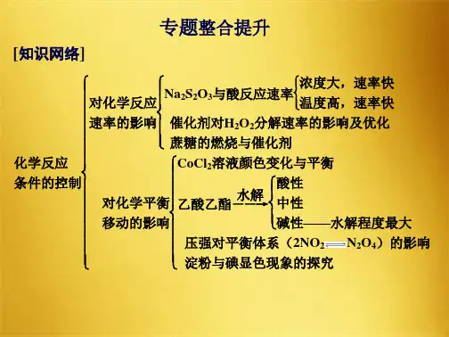 高中化学专题四化学反应条件的控制专题整合提升课件苏教版选修(共5张PPT)
