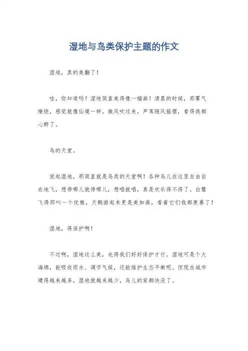 湿地与鸟类保护主题的作文