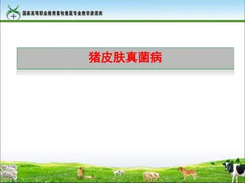201猪皮肤真菌病课件.