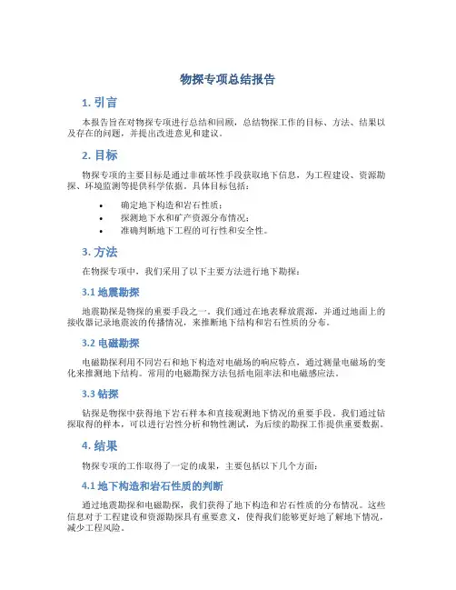 物探专项总结报告 (2)