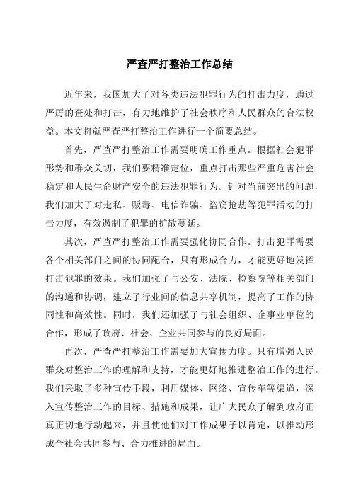 严查严打整治工作总结