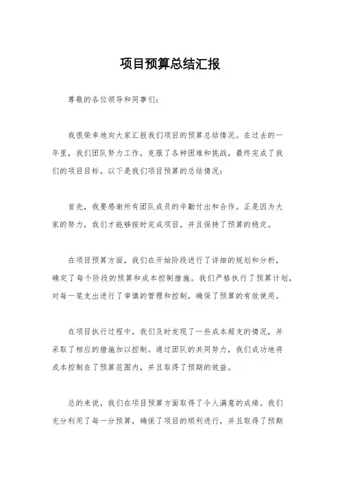 项目预算总结汇报