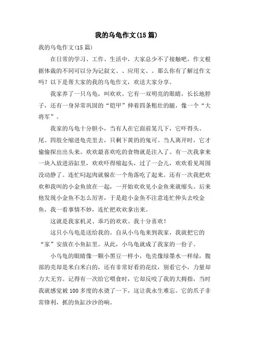 我的乌龟作文(15篇)
