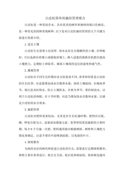 白皮松简单的栽培管理要点