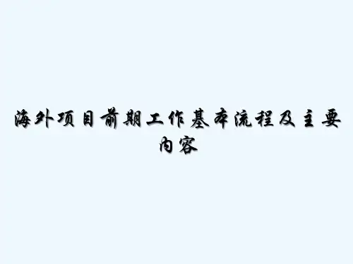 海外项目前期工作基本流程及主要内容