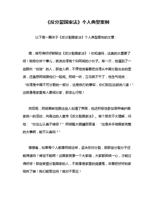 《反分裂国家法》个人典型案例