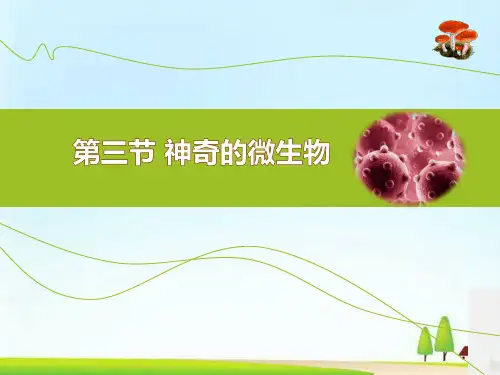 《神奇的微生物》PPT课件