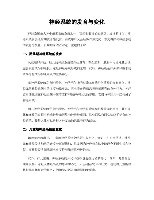 神经系统的发育与变化