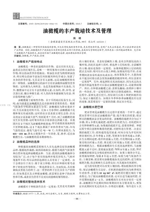 油橄榄的丰产栽培技术及管理