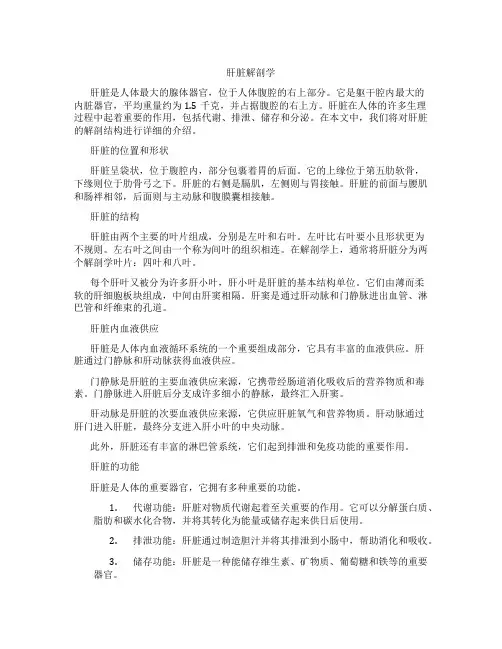 肝脏解剖b点