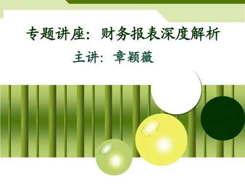 专题讲座：财务报表深度分析
