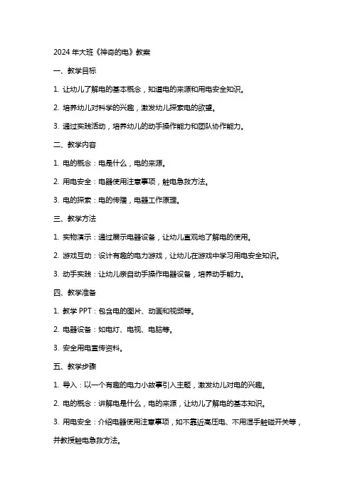 2024年大班《神奇的电》教案