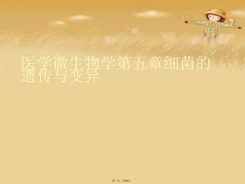 医学微生物学第五章细菌的遗传与变异
