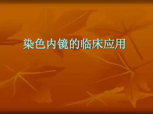 染色内镜的临床应用 PPT课件