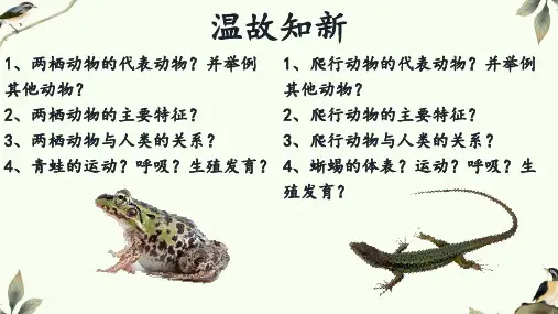 人教版生物八年级上册5.1.6《鸟》课件