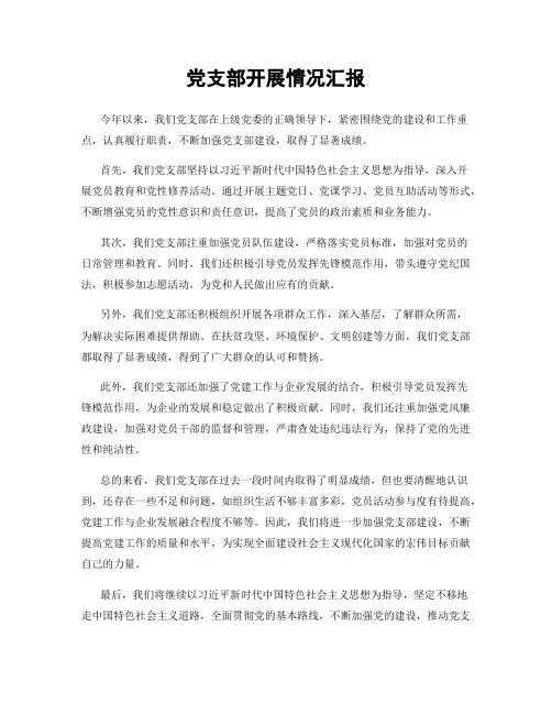 党支部开展情况汇报