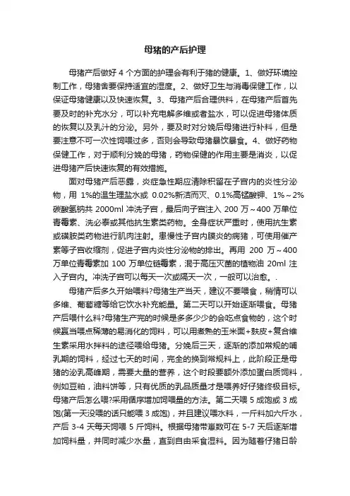 母猪的产后护理