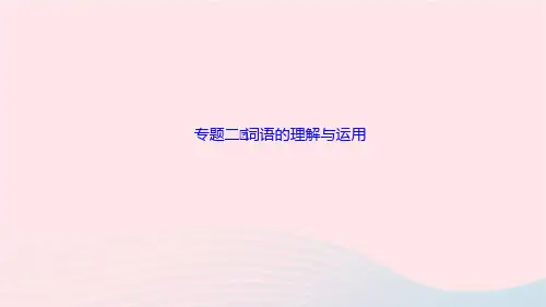 语文八年级上册期末专题复习2词语的理解与运用作业课件新人教版