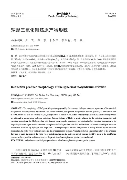 球形三氧化钼还原产物形貌