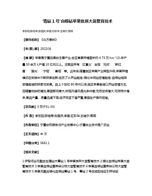 ‘青砧1号'自根砧苹果优质大苗繁育技术
