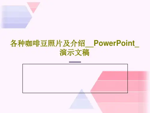 各种咖啡豆照片及介绍__PowerPoint_演示文稿共19页文档