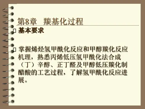 8.羰基化过程