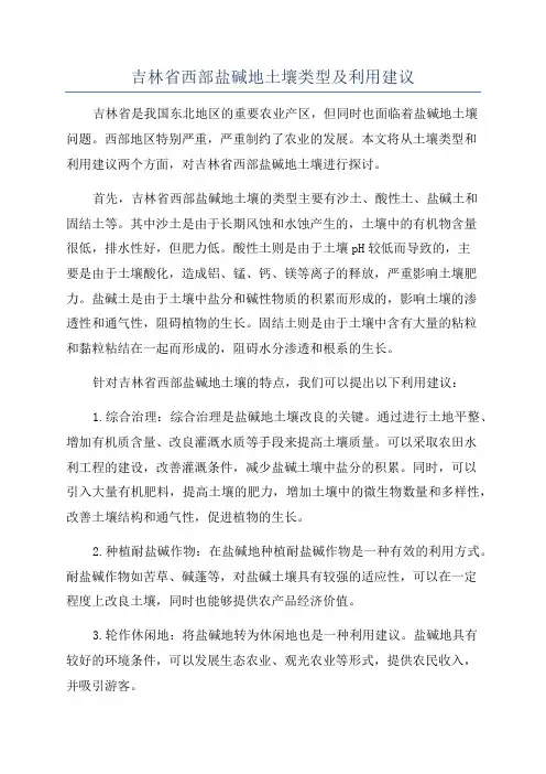 吉林省西部盐碱地土壤类型及利用建议
