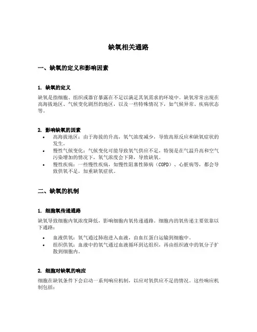 缺氧相关通路