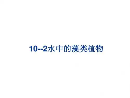 水中的藻类植物