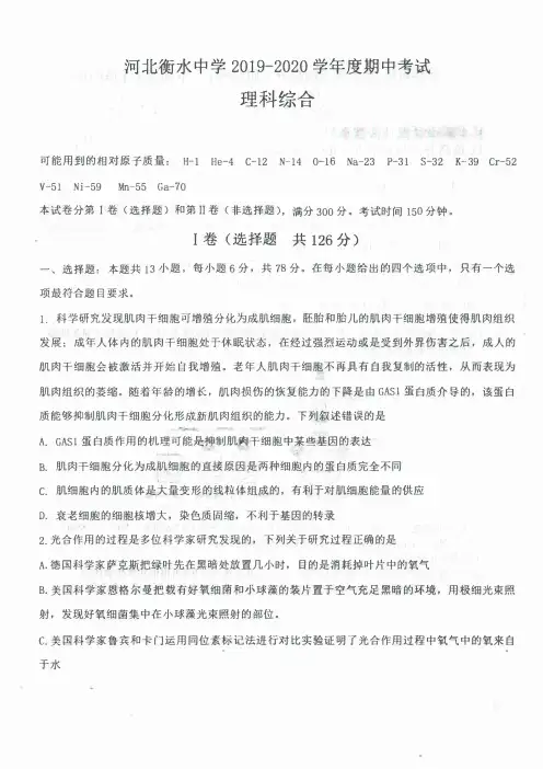 衡水中学2019-2020学年度期中考试理科综合