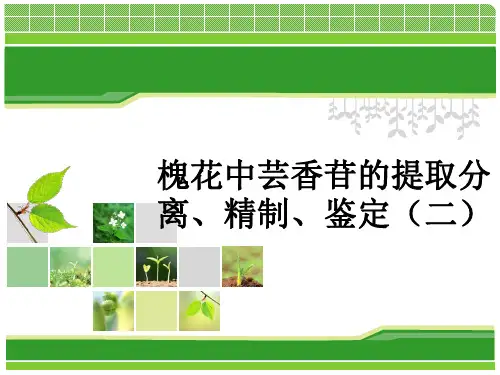 槐花中芸香苷的提取分离、精制、鉴定二.ppt