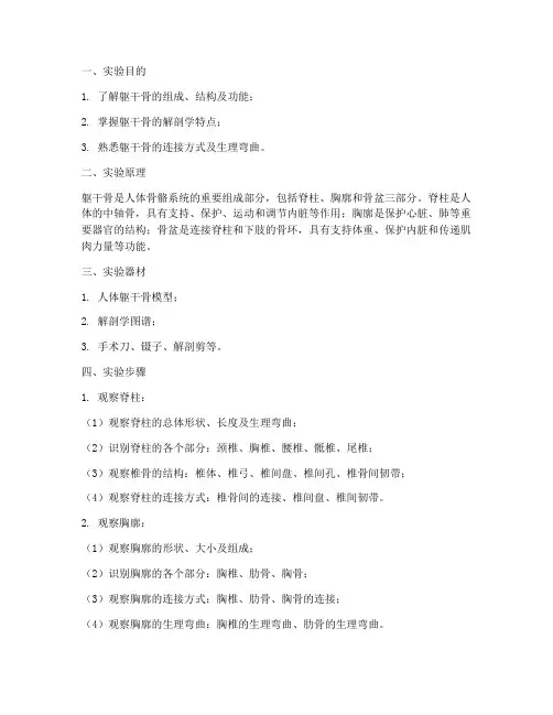 实验报告躯干骨