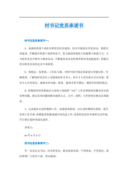 村书记党员承诺书
