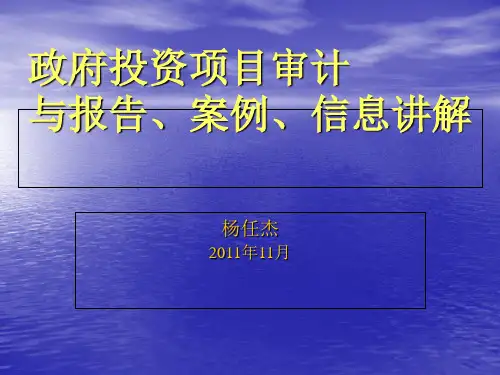 政府投资项目审计与报告案例信息讲解(PPT 74张)