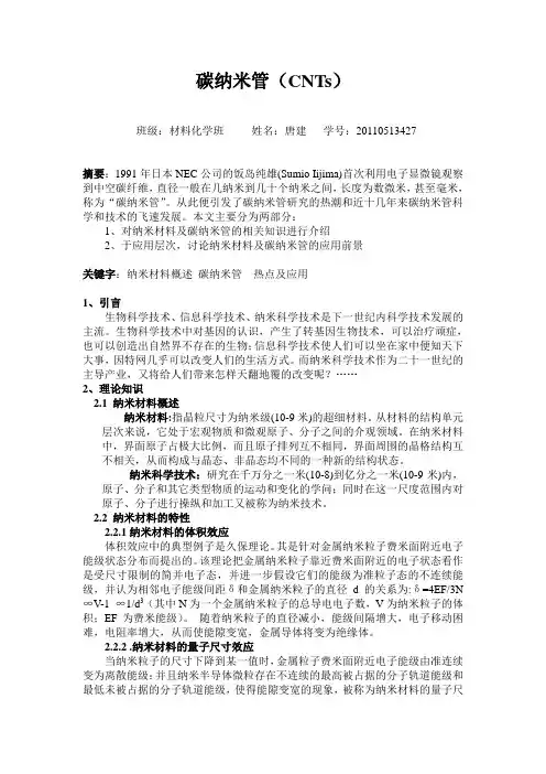 碳纳米管(CNTs)