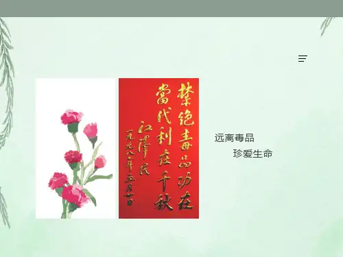 主题班会《远离毒品-珍爱生命》PPT课件