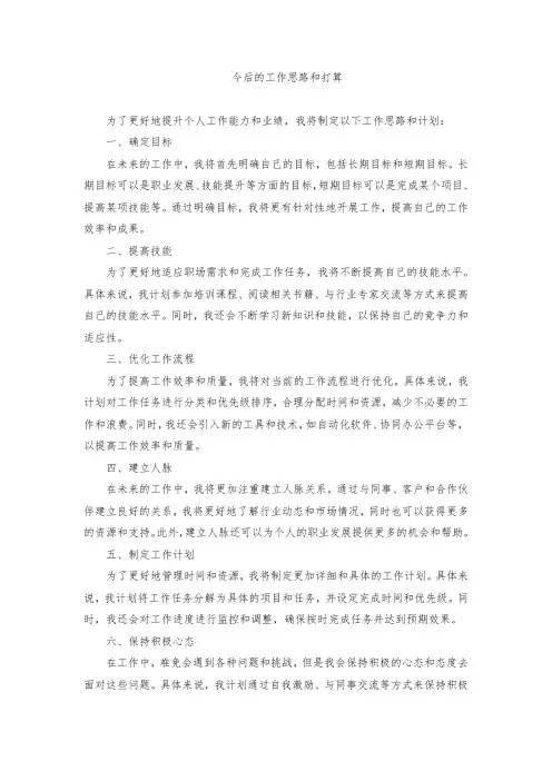 今后的工作思路和打算