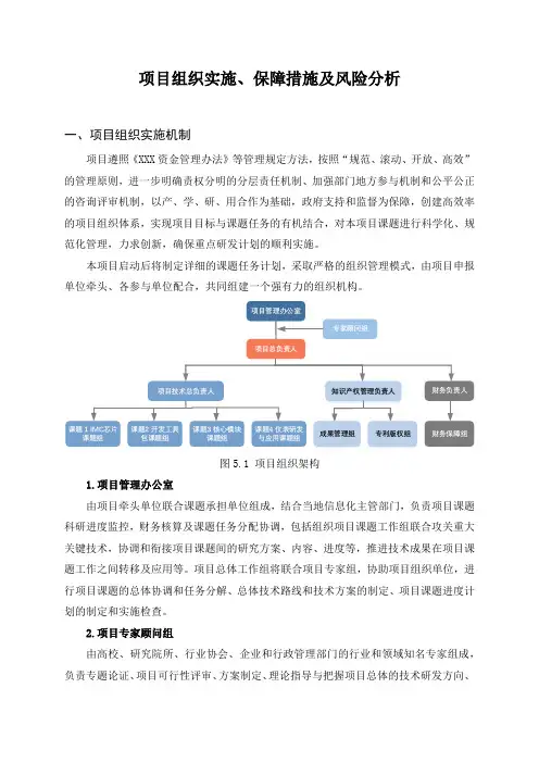 项目组织实施、保障措施及风险分析