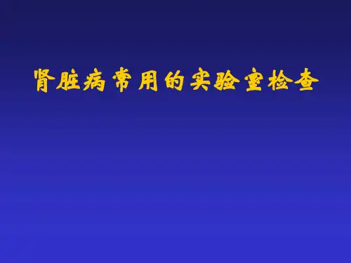 肾脏病实验室检查
