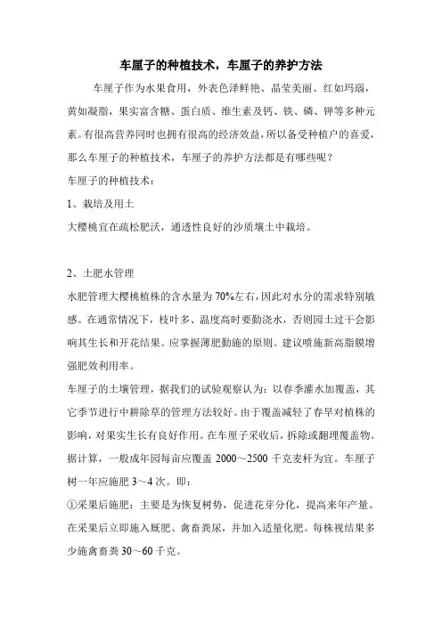 车厘子的种植技术,车厘子的养护方法.doc
