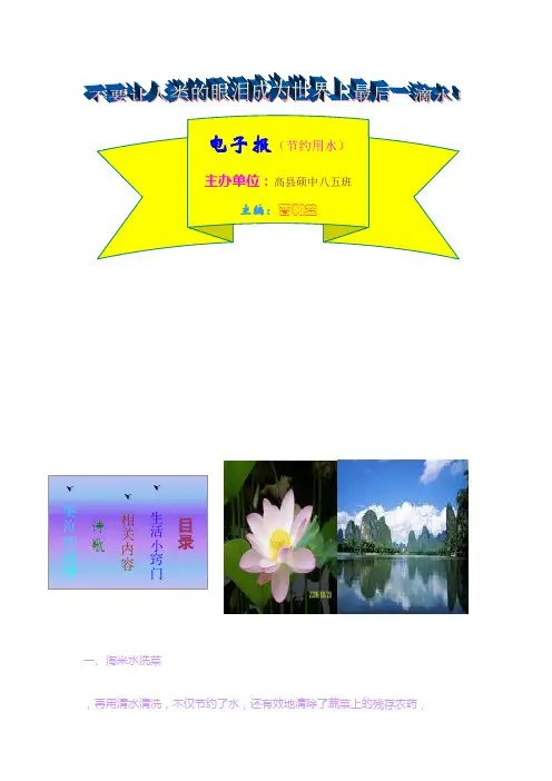 节约用水(电子报)