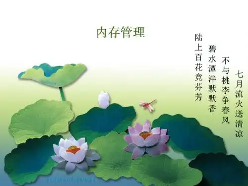 内存管理.pptx
