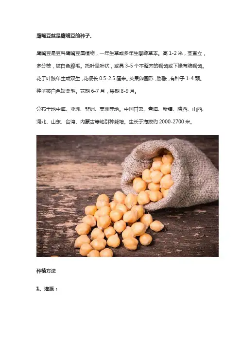 鹰嘴豆是什么植物的种子
