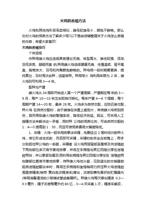火鸡的养殖方法